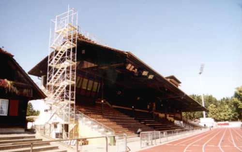 Stadion Neufeld - Tribne