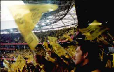 De Kuip
